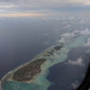 Meet your Posher, Brett